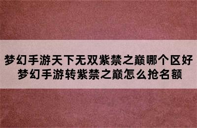 梦幻手游天下无双紫禁之巅哪个区好 梦幻手游转紫禁之巅怎么抢名额